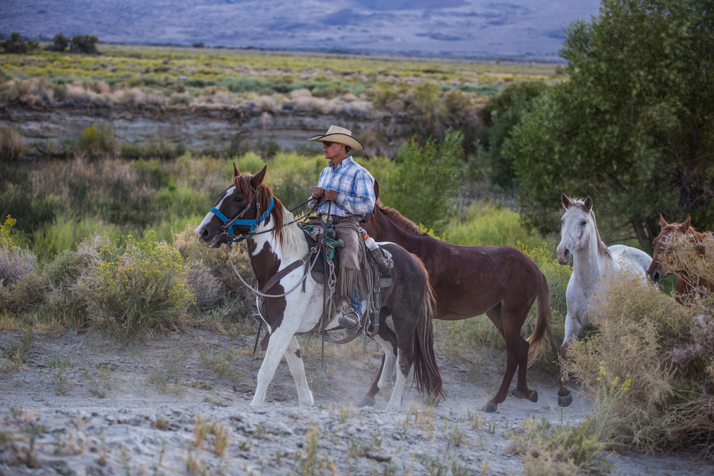 Sedona.,Arisona,Usa,-,September,16,,2014:,Group,Of,Cowboys