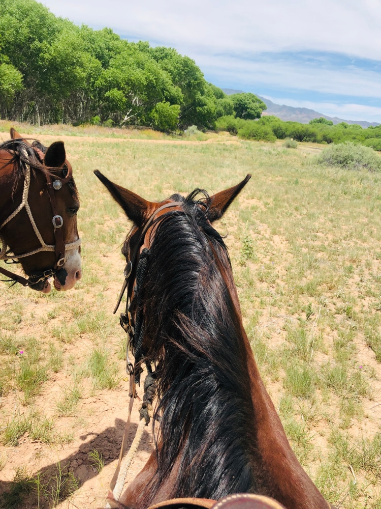 Horseback,Riding,,Sedona,,Arizona,2019