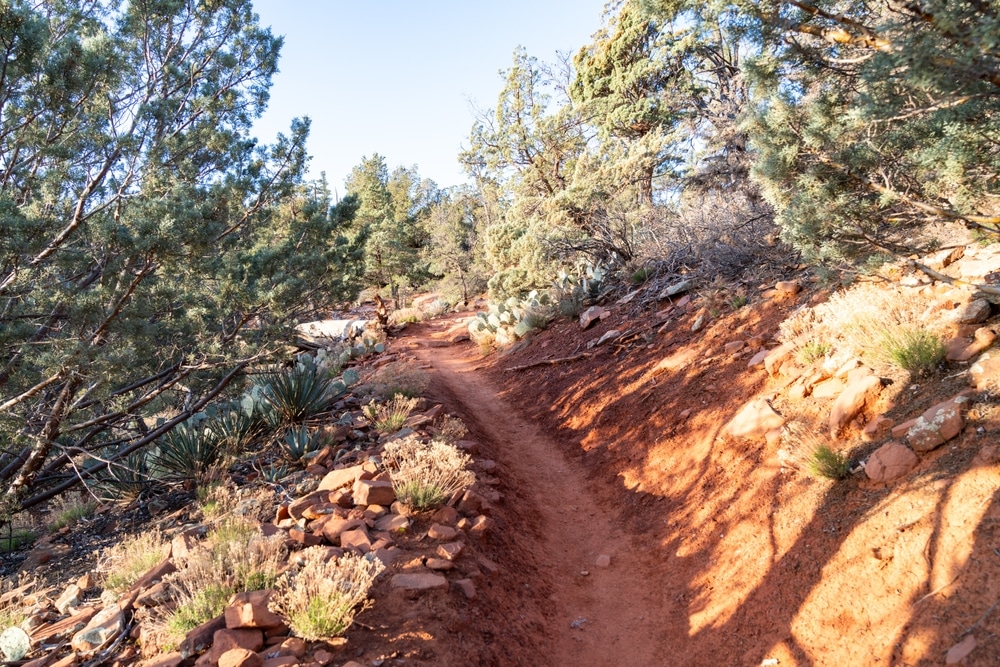 Soldier,Pass,Trail,In,Sedona,Arizona,In,The,Morning,Light