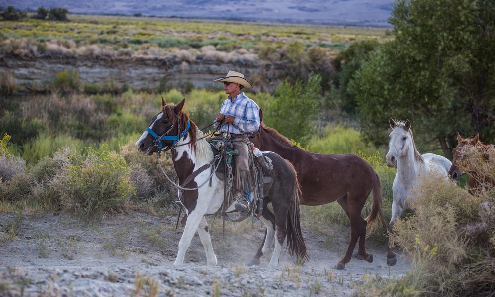 Sedona.,Arisona,Usa,-,September,16,,2014:,Group,Of,Cowboys